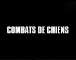 Combats_chiens.jpg (16288 octets)