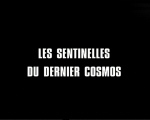 Sentinelle_cosmos.jpg (17784 octets)