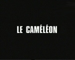 cameleon.jpg (51929 octets)