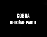cobra_2.jpg (16835 octets)