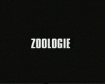 zoologie.jpg (56193 octets)