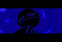 8.jpg (24612 octets)
