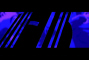 9.jpg (36080 octets)