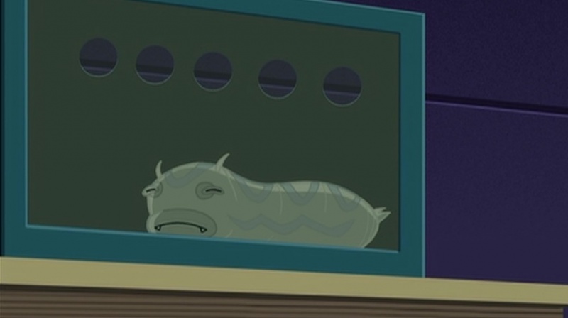 Image:Silkie (BBB).jpg