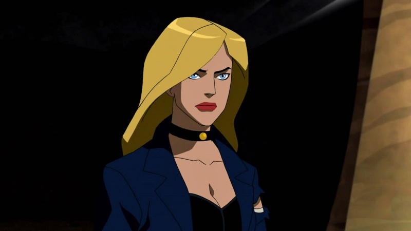 Image:Black Canary (Young Justice).jpg